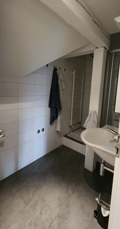 Grosszuegige und helle 3.5-Zimmer-Dachwohnung mit Loft-Charme im Fischermatteli
