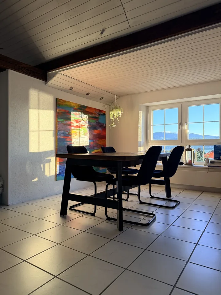 Appartamento di 3,5 locali in stile loft con vista lago e grande terrazza