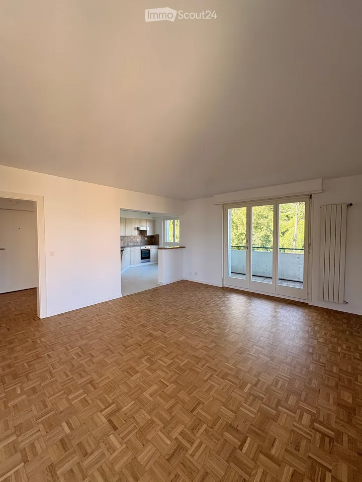 3,5 Zimmer renoviert mit Geschmack, ruhig, mit zwei Balkonen und einer schönen Aussicht