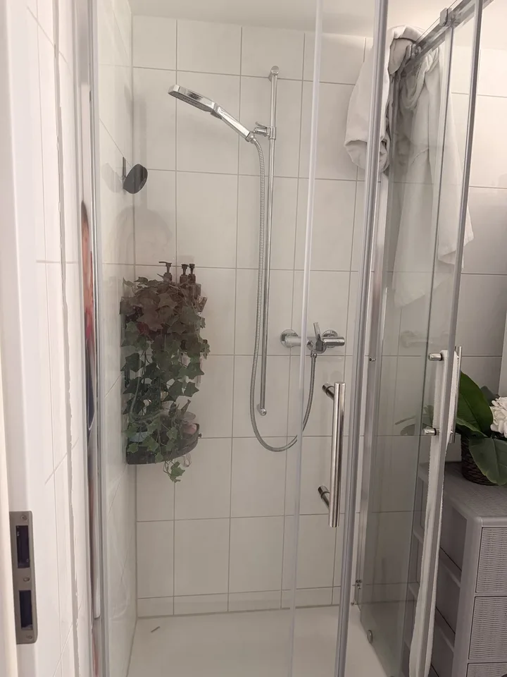 Tenant wanted: Bright 3-room apartment with balcony & parking space