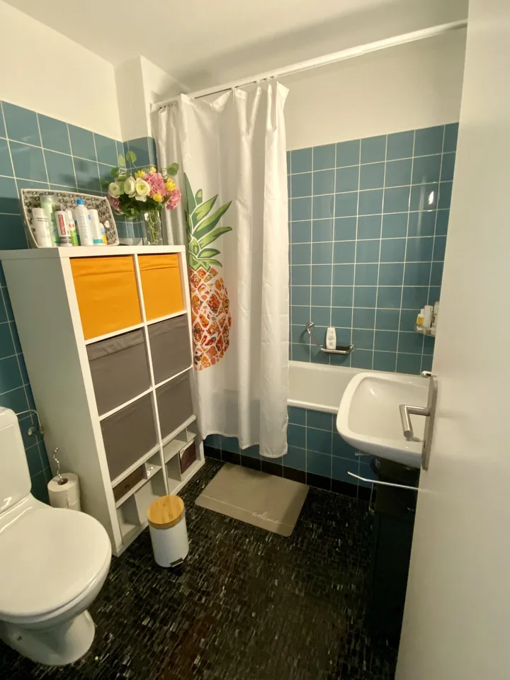 2½ ZI-WOHNUNG IN EBMATINGEN (ZH), MÖBLIERT, TEMPORÄR