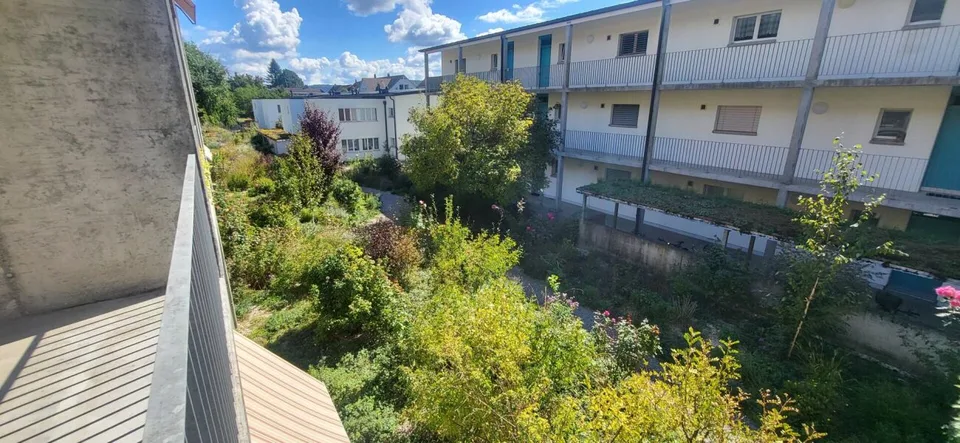 Beautiful 3-room apartment looking for a new occupant with a flair for green!