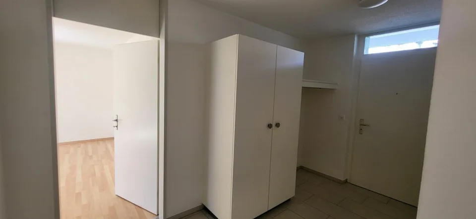 Beautiful 3-room apartment looking for a new occupant with a flair for green!