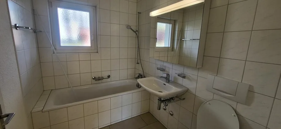 Beautiful 3-room apartment looking for a new occupant with a flair for green!