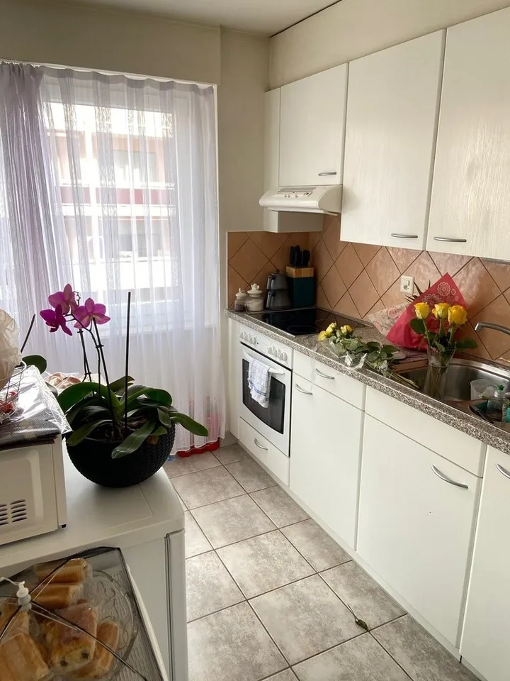 Spacious apartment in the heart of Monthey