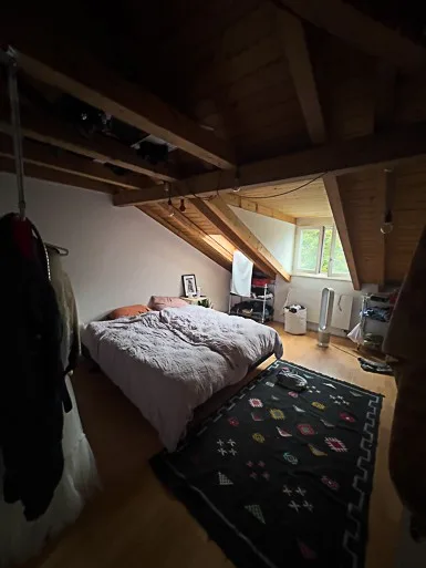 Nachmieter / Untermieter gesucht