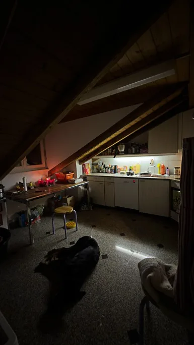 Nachmieter / Untermieter gesucht