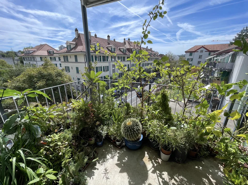 2 Zimme Wohnung in der Länggasse