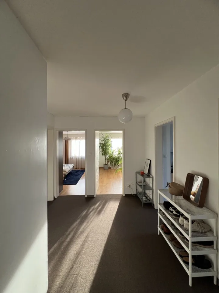 Sonnige Wohnung im Herzen von Schlieren, 3 Min vom Bahnhof (10 Min bis zum HB)