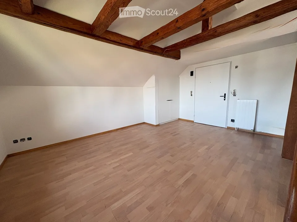Charming 2-room maisonette apartment with roof terrace and Lake Constance view