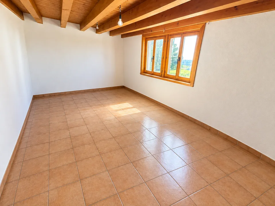 Magnifico appartamento di 5.5 locali completamente ristrutturato con vista aperta