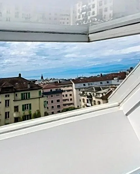 Elegante appartamento di 2.5 locali completamente ristrutturato – foto 2 di 13