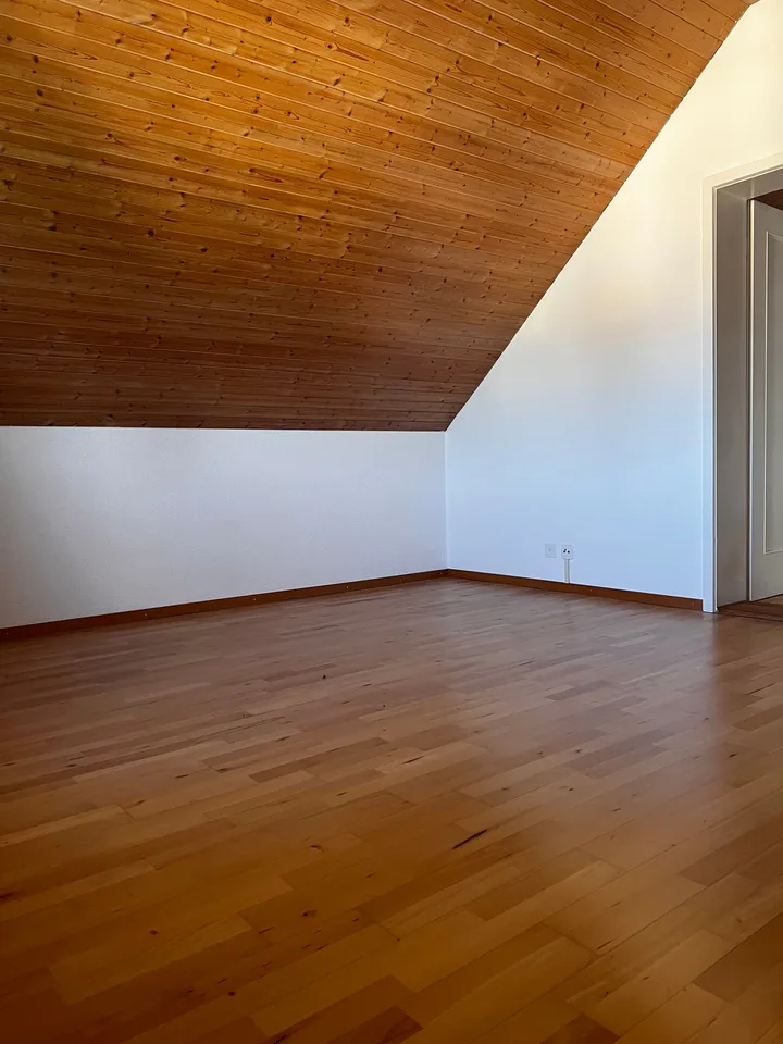 Charmante Dachwohnung