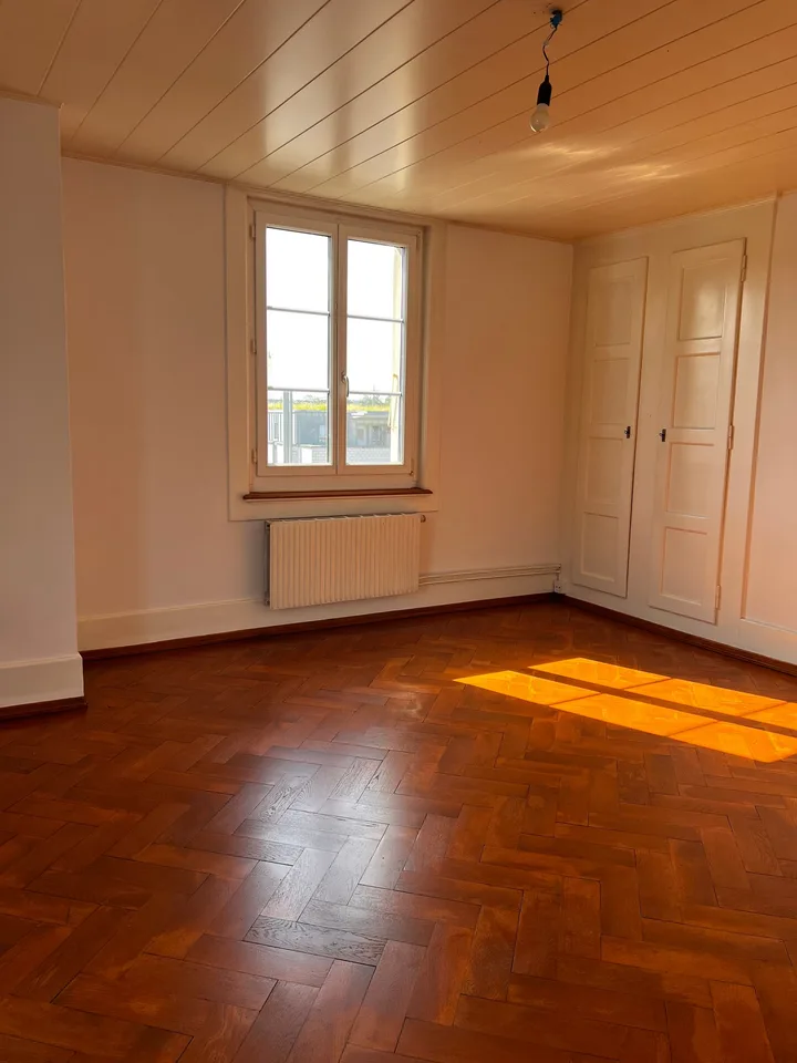 Altbauwohnung mit Charme