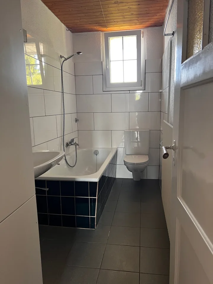 Altbauwohnung mit Charme