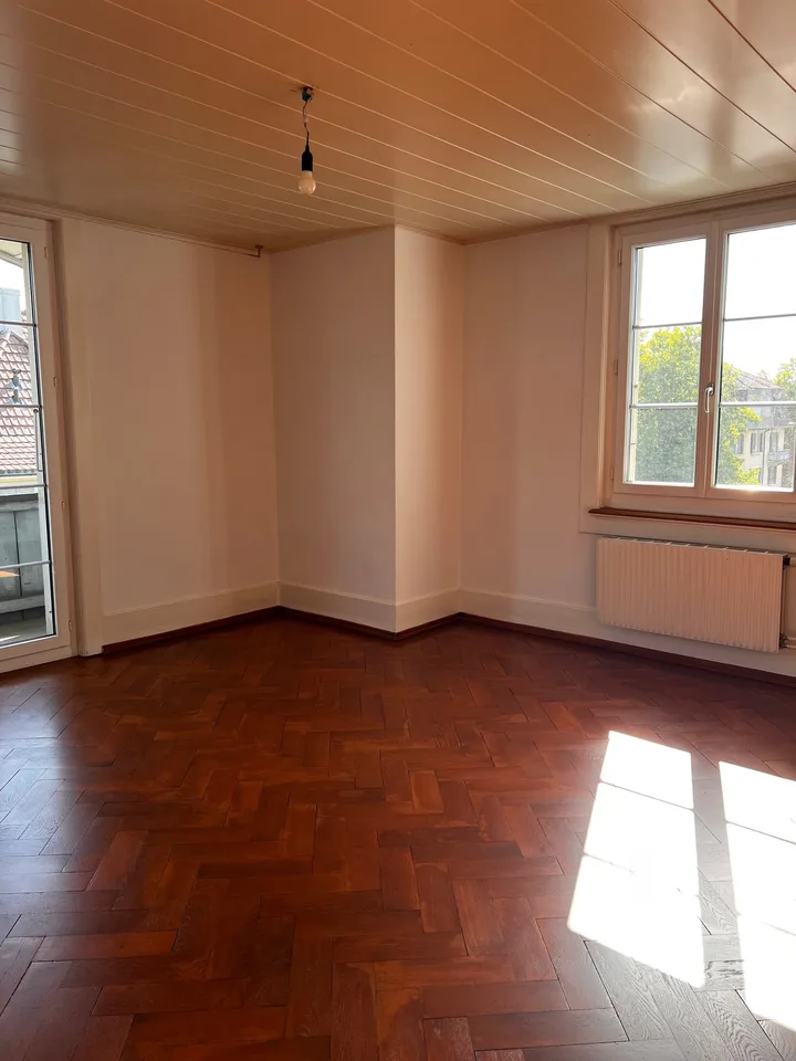 Altbauwohnung mit Charme