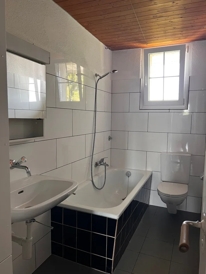 Altbauwohnung mit Charme