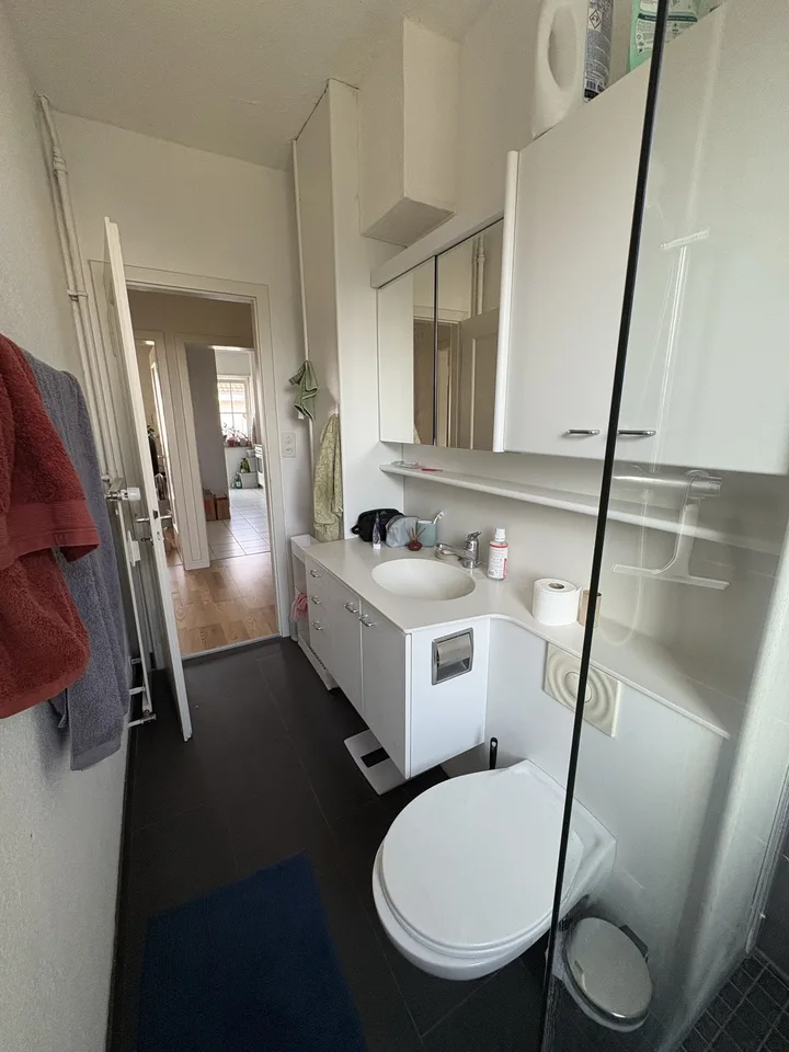 Helles und geräumiges 2.5-Zimmer-Apartment mit Balkon in Basel - Verfügbar ab November oder auf Anfrage