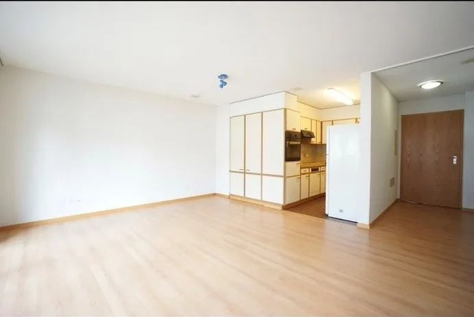 Beautiful, cozy 2.5-room apartment in Hunzenschwil