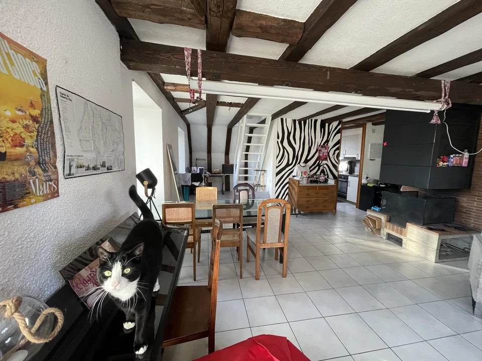 Spacious and charming duplex