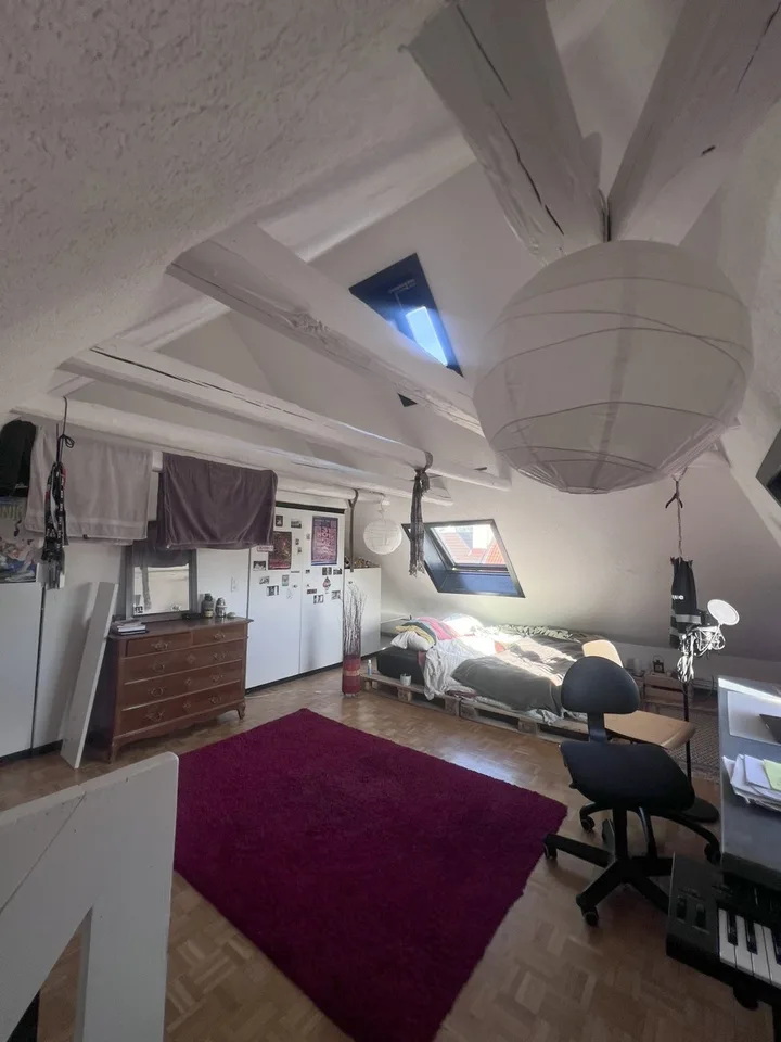 Spacious and charming duplex