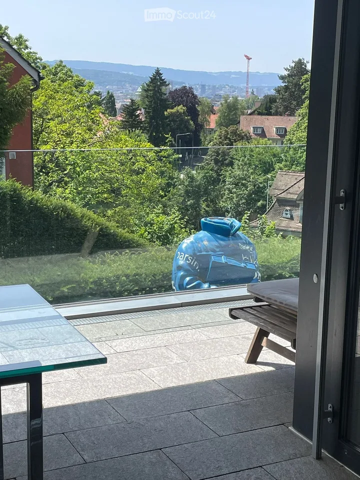 Exklusive 4.5-Zimmer-Duplex-Wohnung mit Kamin und Garage am Zürichberg