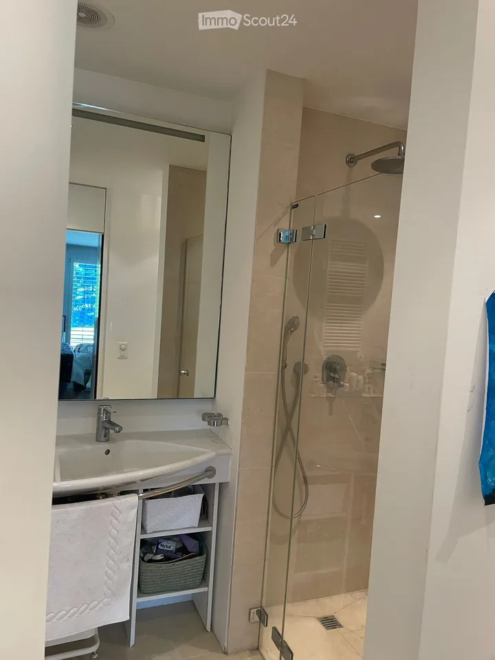 Exklusive 4.5-Zimmer-Duplex-Wohnung mit Kamin und Garage am Zürichberg