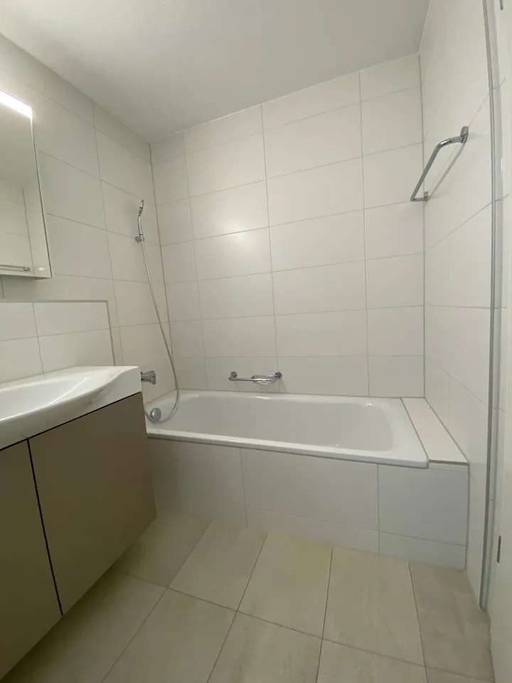 3.5 Room Attic Apartment