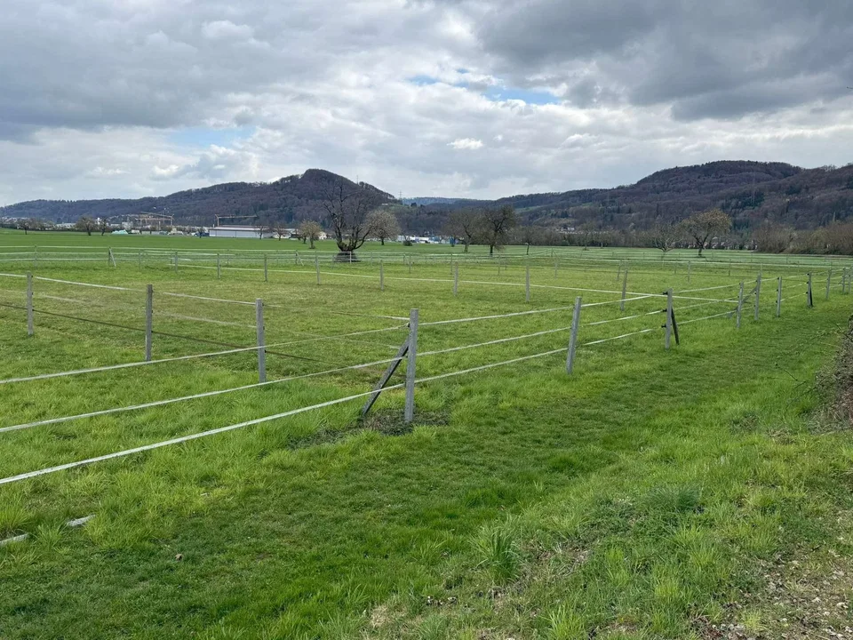 Attraktive Reitanlage an der schweizer Grenze mit vielfältigen Nutzungsmöglichkeiten – Foto 9 von 13