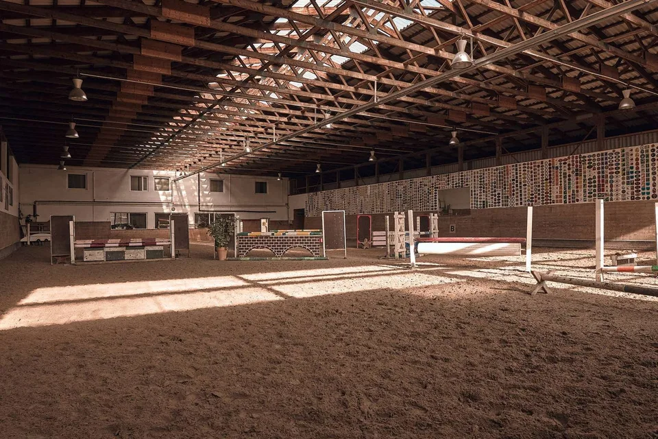 Attraktive Reitanlage an der schweizer Grenze mit vielfältigen Nutzungsmöglichkeiten – Foto 5 von 13