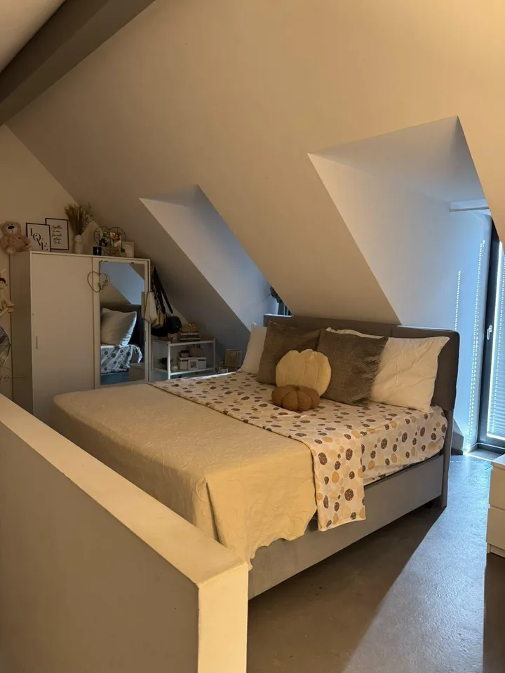 2.5-ROOM DUPLEX FOR RENT IN DIESSENHOFEN