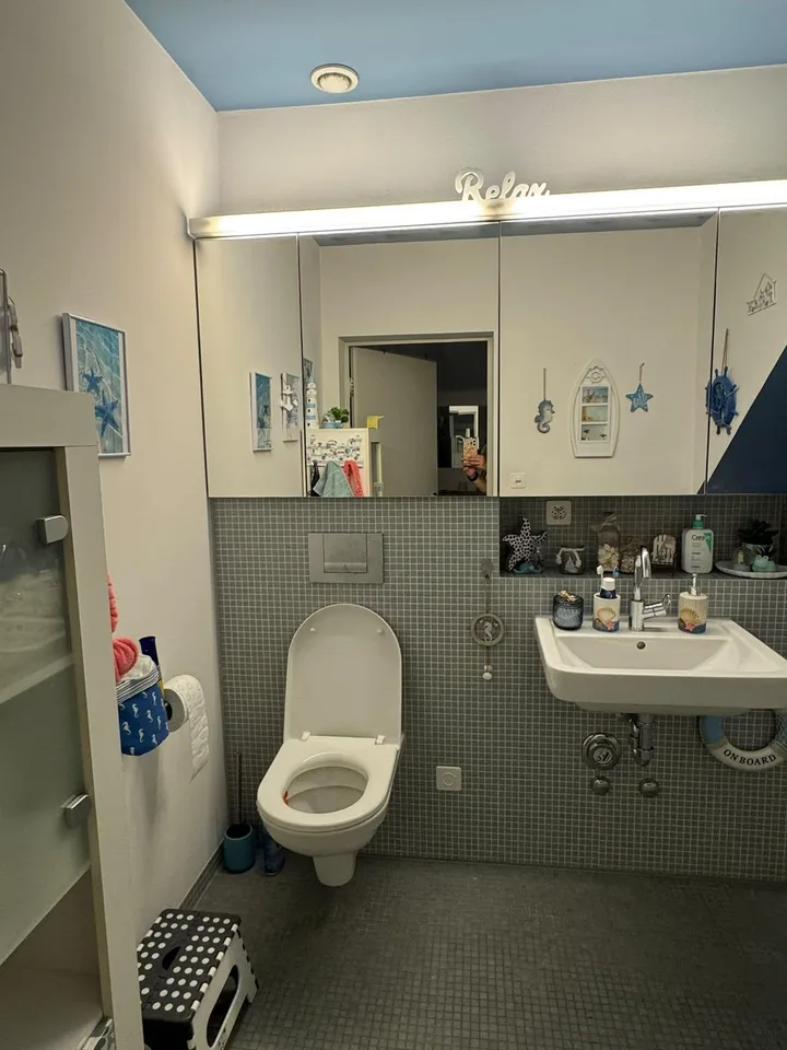 2.5-ROOM DUPLEX FOR RENT IN DIESSENHOFEN