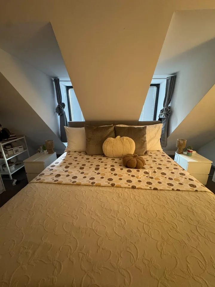 2.5-ROOM DUPLEX FOR RENT IN DIESSENHOFEN