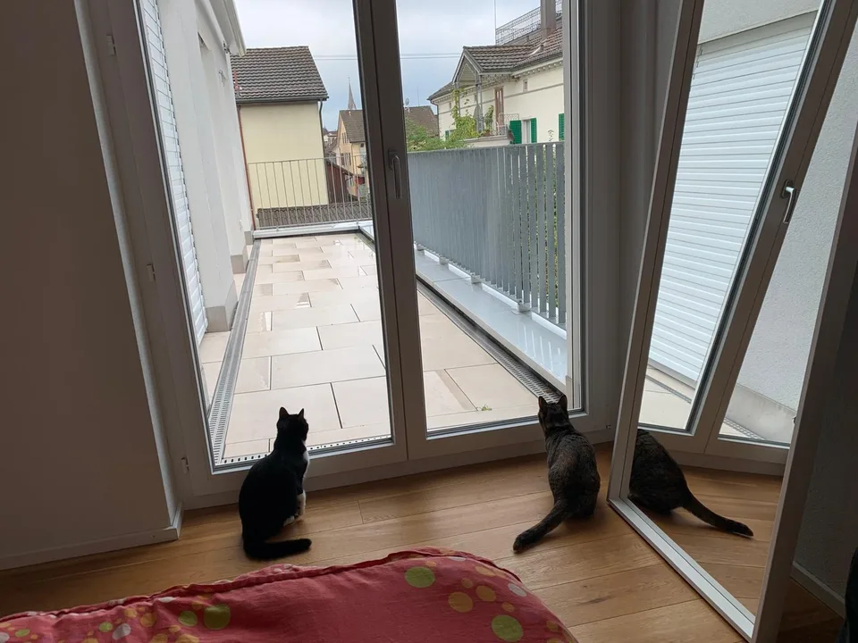 Appartement moderne 3.5 pièces avec balcon spacieux à Uster