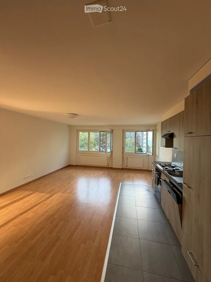 Ripresa del contratto di affitto: 2,5 locali con balcone e vista sul lago