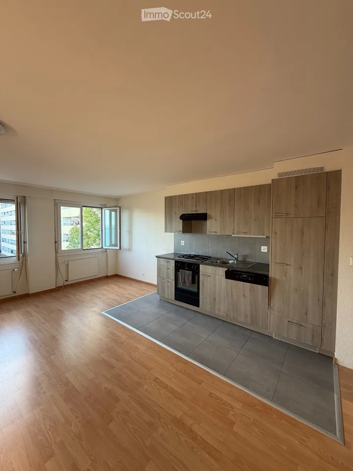 Ripresa del contratto di affitto: 2,5 locali con balcone e vista sul lago