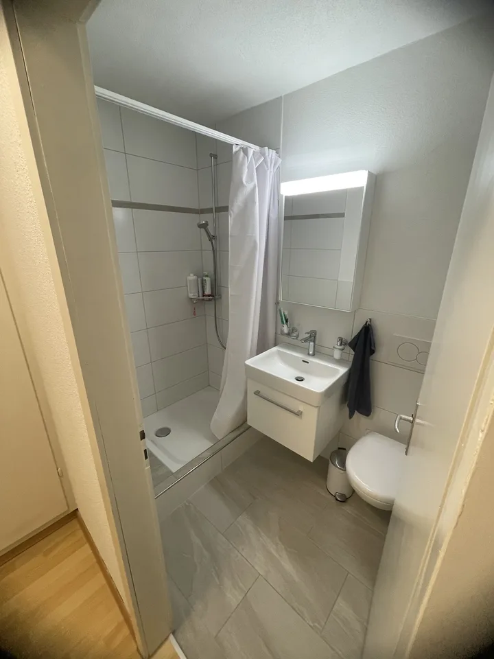 1 Zimmerwohnung zur Untermiete