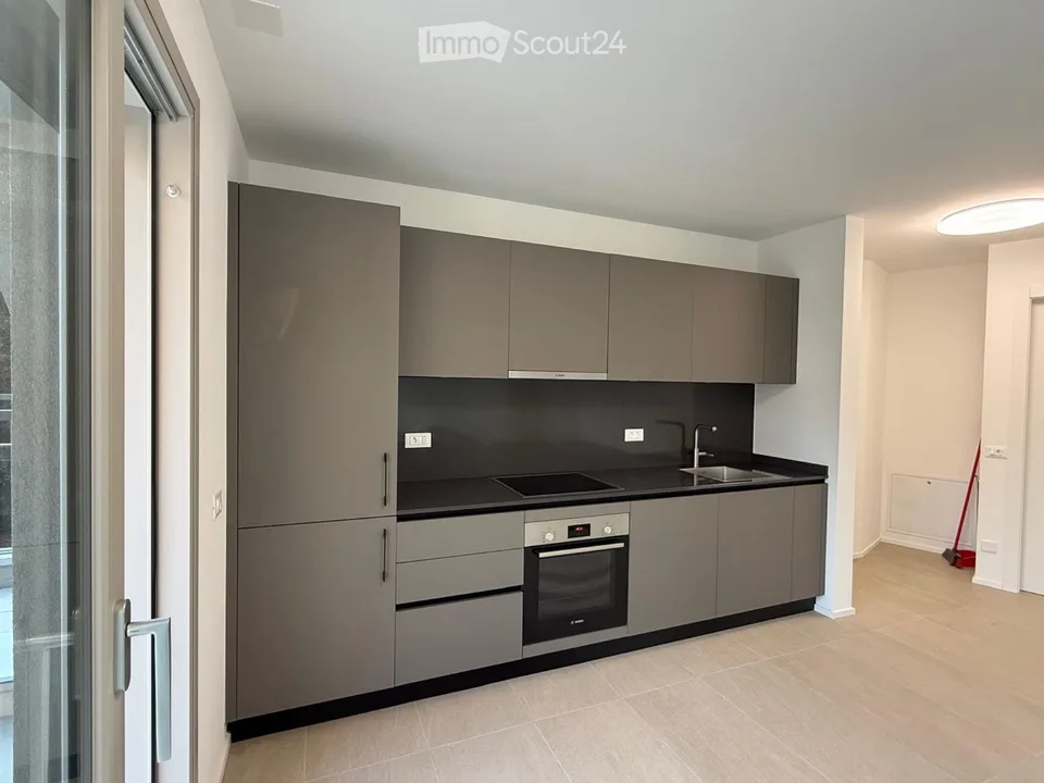 Appartement avec vue sur Bellinzona