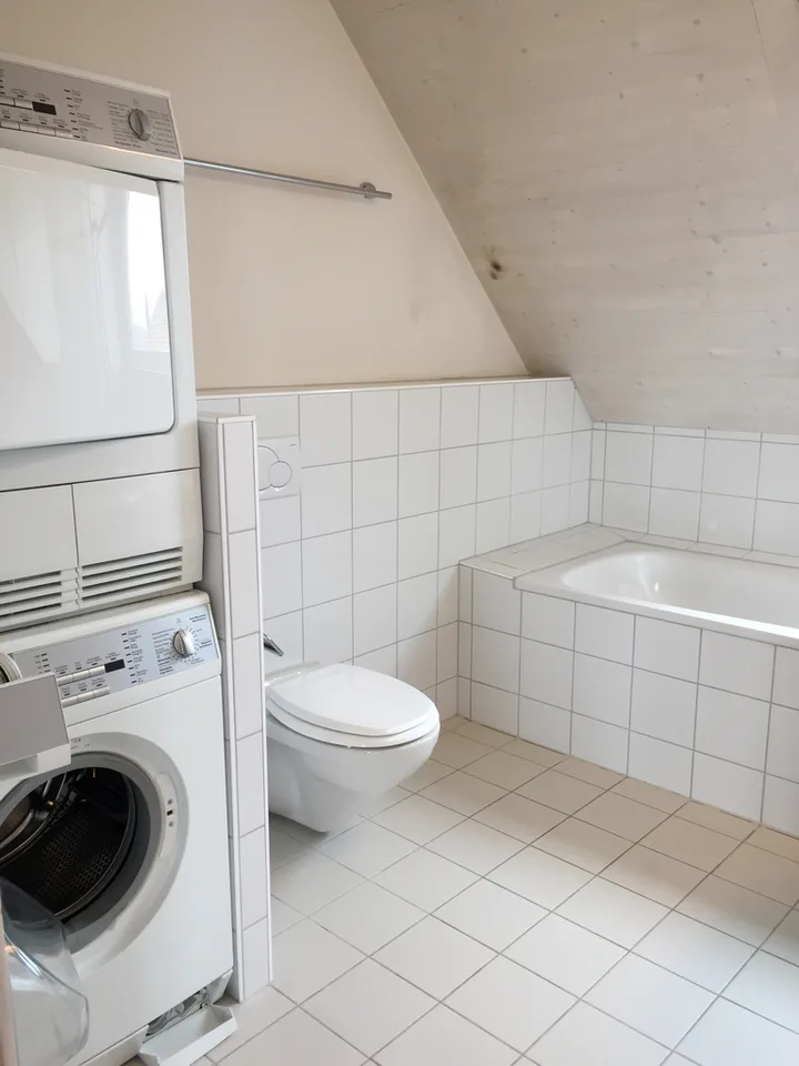 Beautiful 2.5-room attic apartment with lake view
