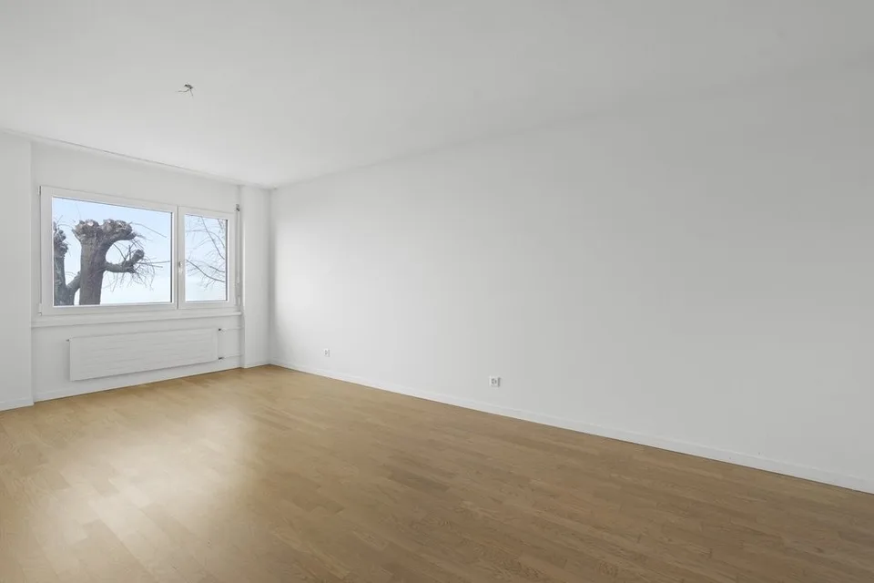 Appartement de rêve de 4,5 pièces à 5453 Remetschwil