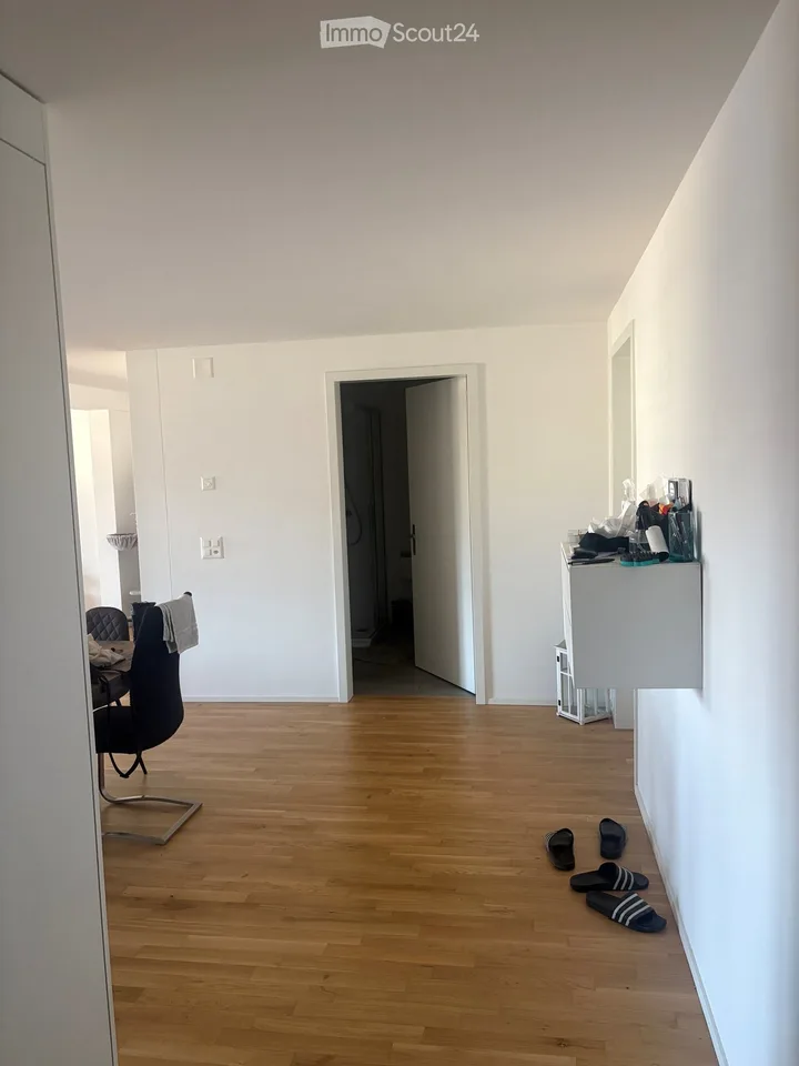 Living in the heart of Solothurn