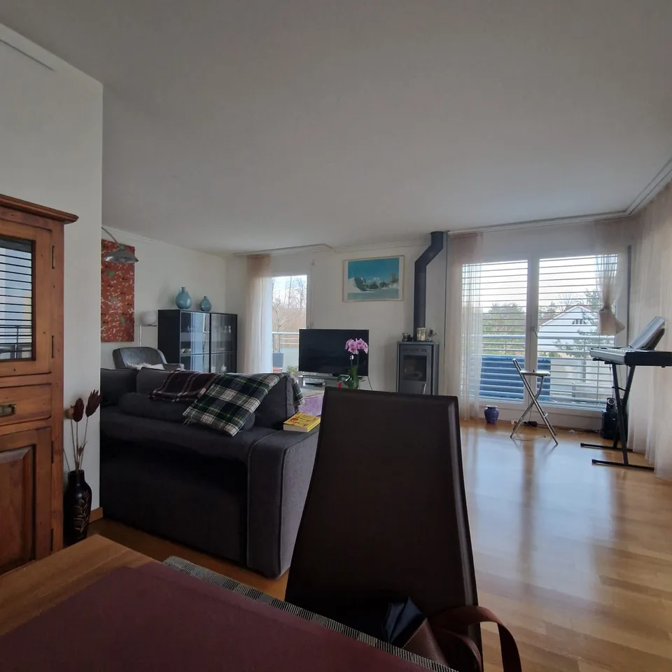 Terrace apartment near Forrest in regensdorft