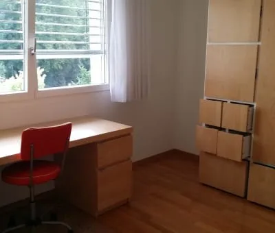Terrace apartment near Forrest in regensdorft