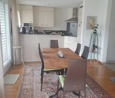 Terrace apartment near Forrest in regensdorft