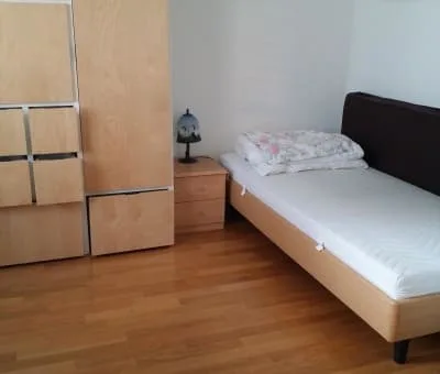 Terrace apartment near Forrest in regensdorft