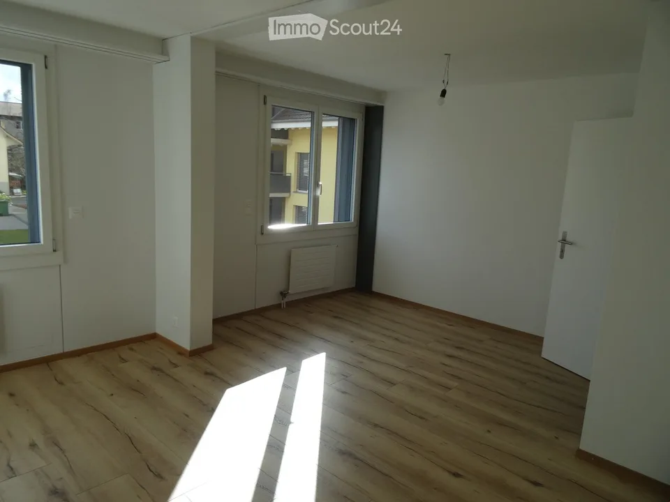 Ampio appartamento ristrutturato di 3,5 locali