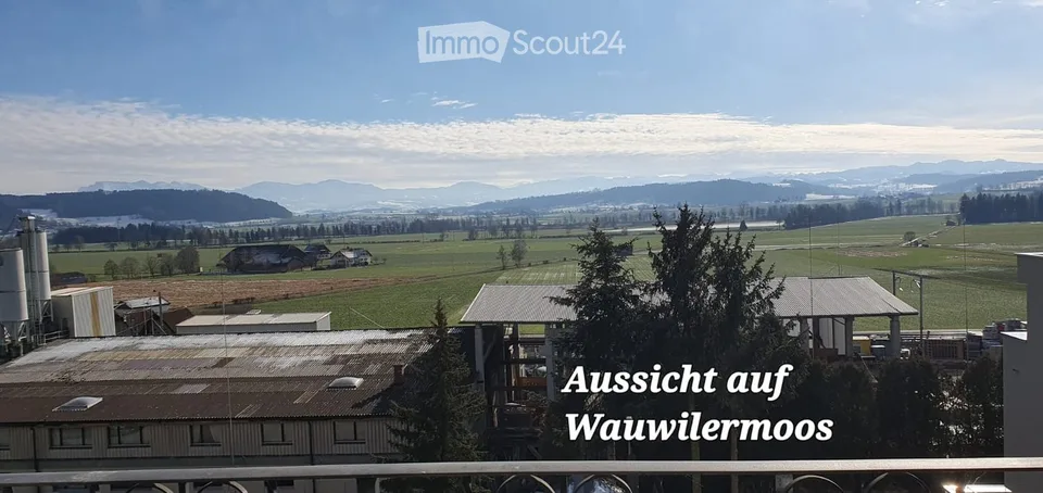 Geräumige 7-Zimmer-Dachgeschosswohnung an der Dorfstrasse in Wauwil