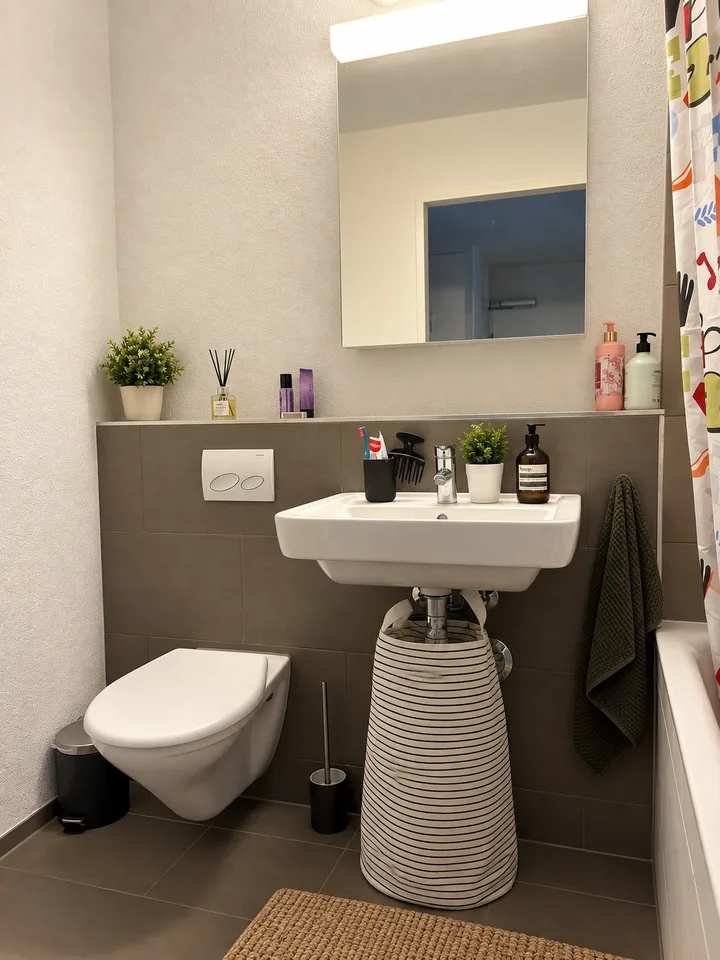 Bright apartment by the Limmat Neuenhof