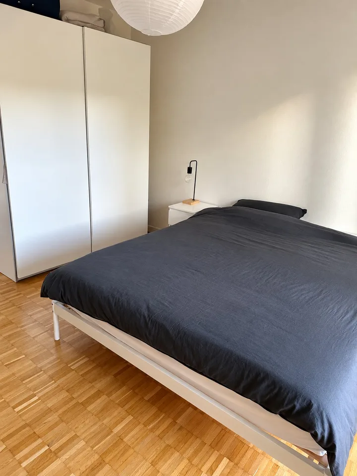 Bright apartment by the Limmat Neuenhof