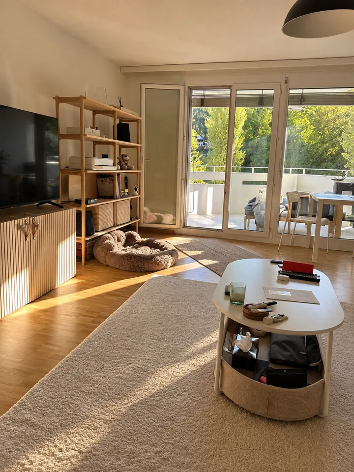 Bright apartment by the Limmat Neuenhof